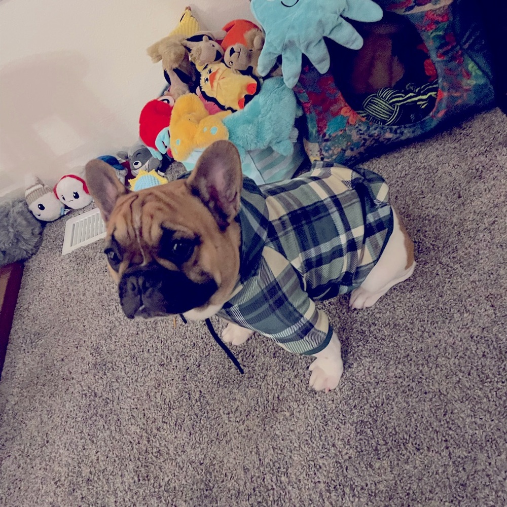 Matching Hoodies - Picture 13 of 16
